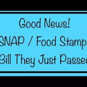 Good News! SNAP Benefits / Food Stamps - The Bill They Just Passed